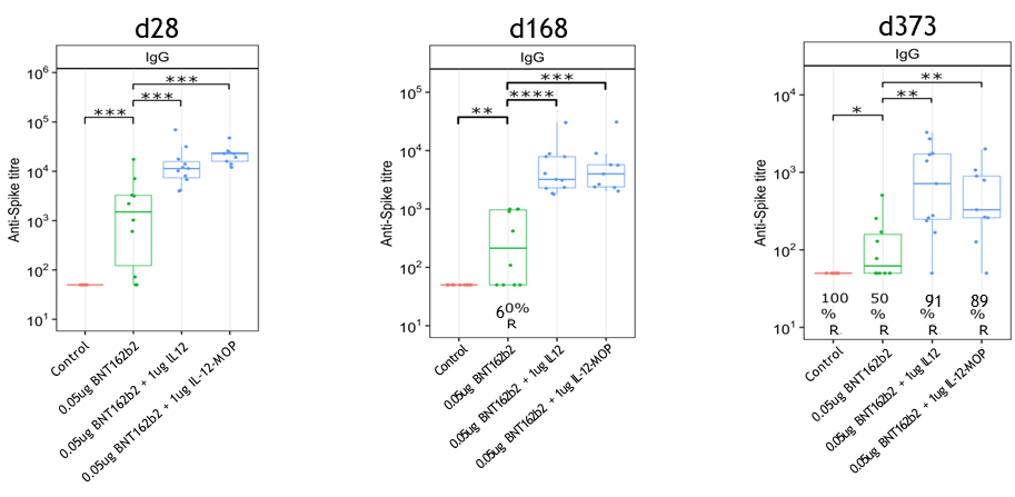 Adjuvants to Prevent Against Waning Immunity in mRNA Vaccines
